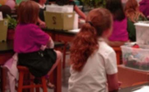 小学生寒假生活学习计划合集8篇