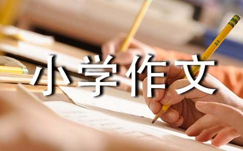 （精选）我的房间小学作文5篇
