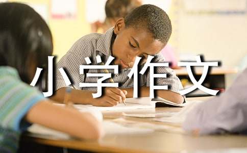 [合集]我的房间小学作文5篇