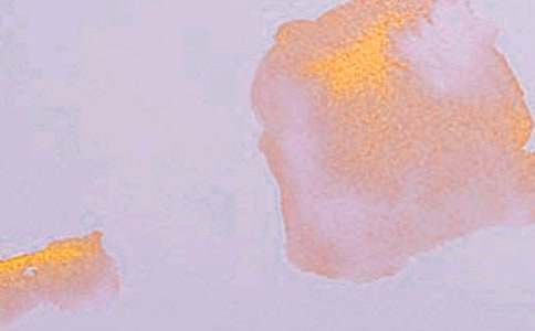 （精选）艺术的作文5篇