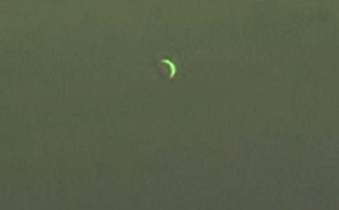 月亮的故事作文[经典]