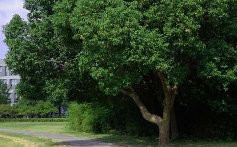 2021年通用生活早安心语微信36句