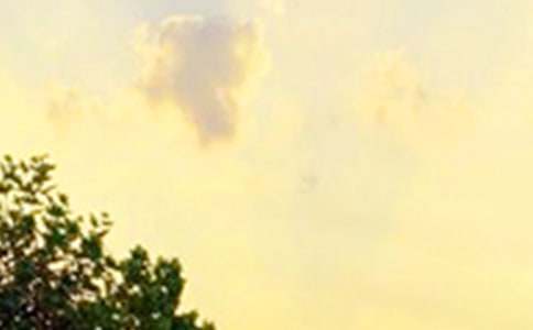 【精华】生活早安心语QQ25句