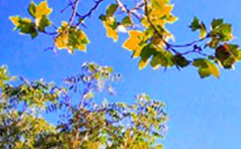 【推荐】生活早安心语QQ大合集51句