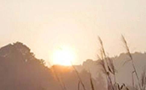 2021年简短的生活早安心语汇总61句