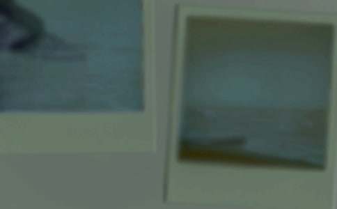 照片的故事的作文（汇总3篇）