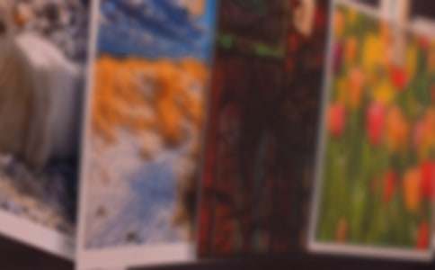 (合集)照片的故事的作文3篇