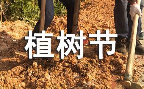 植树节小学生活动方案