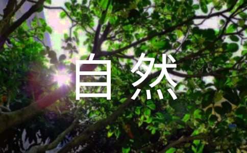 造成自然流产的因素有哪些