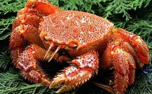 产妇能吃螃蟹吗