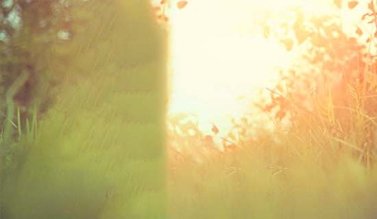 常用生活唯美句子大全（通用200句）